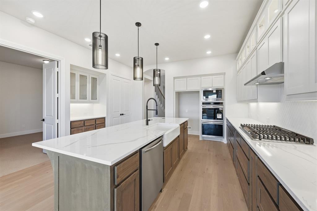 1025 Alberta Spruce Road Justin, TX 76247 - Photo 3 of 30