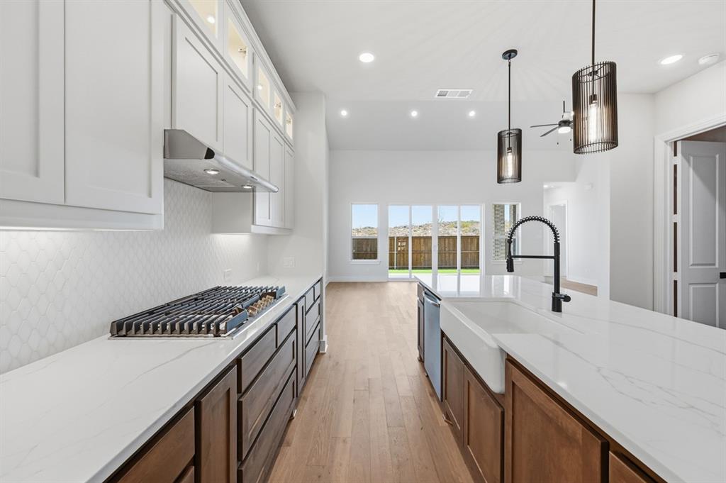 1025 Alberta Spruce Road Justin, TX 76247 - Photo 5 of 30