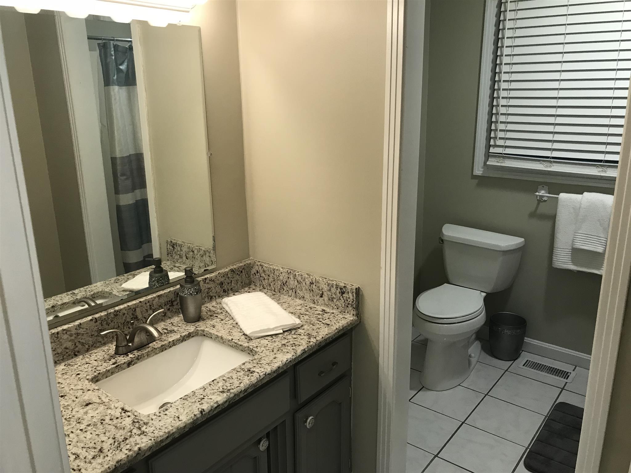2674 New Hall Road Greenbrier, TN 37073 - Photo 15 of 30 a bathroom with a granite countertop sink toilet and mirror