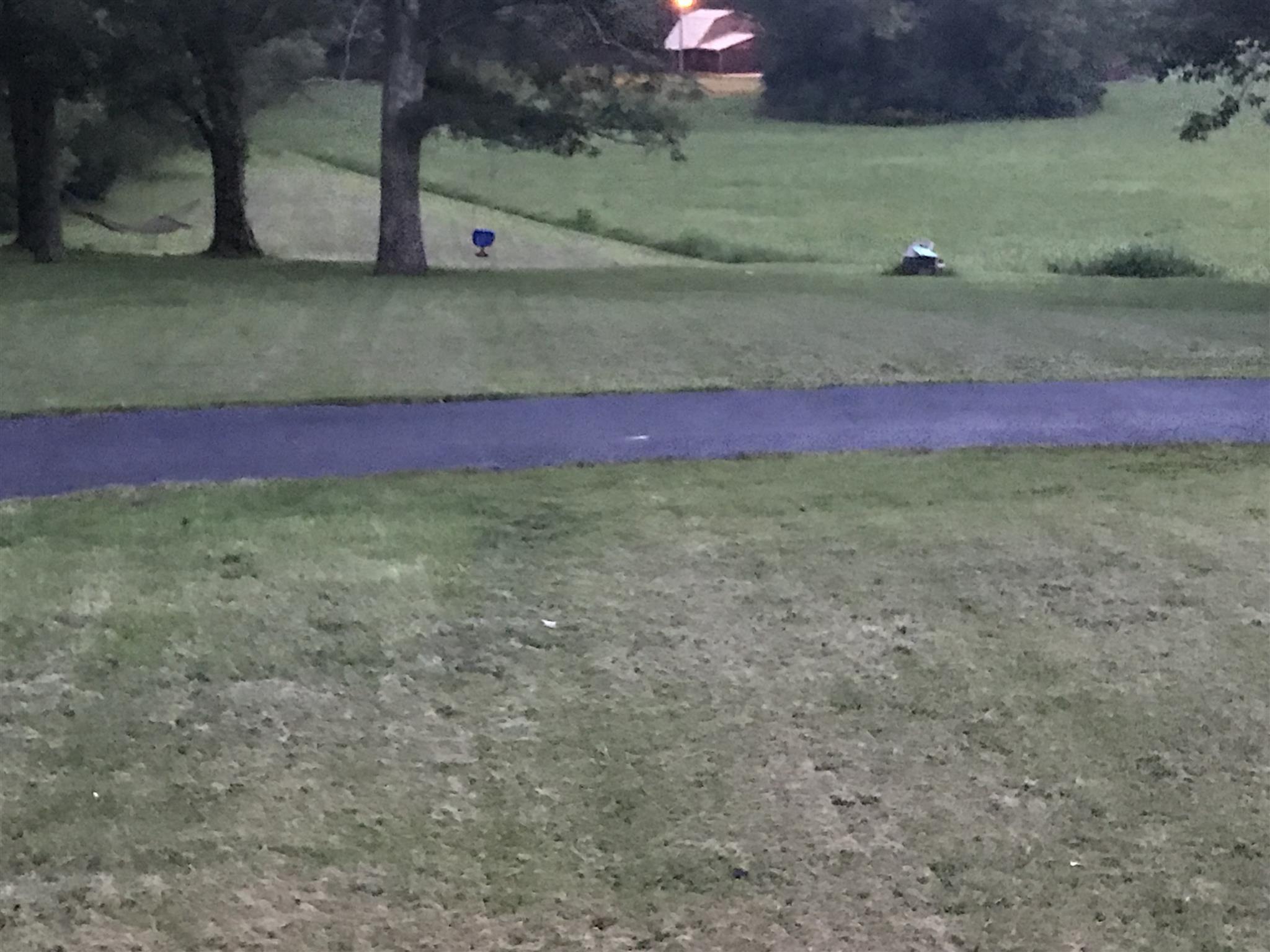 2674 New Hall Road Greenbrier, TN 37073 - Photo 24 of 30 a view of a yard