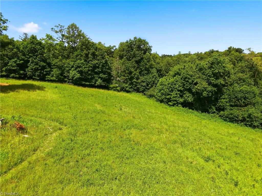 Tbd Harris Road Wilkesboro, NC 28697 - Photo 2 of 25