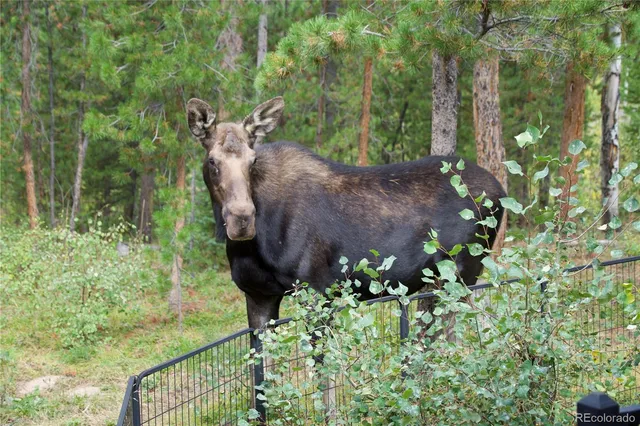 a view of a garden with plants