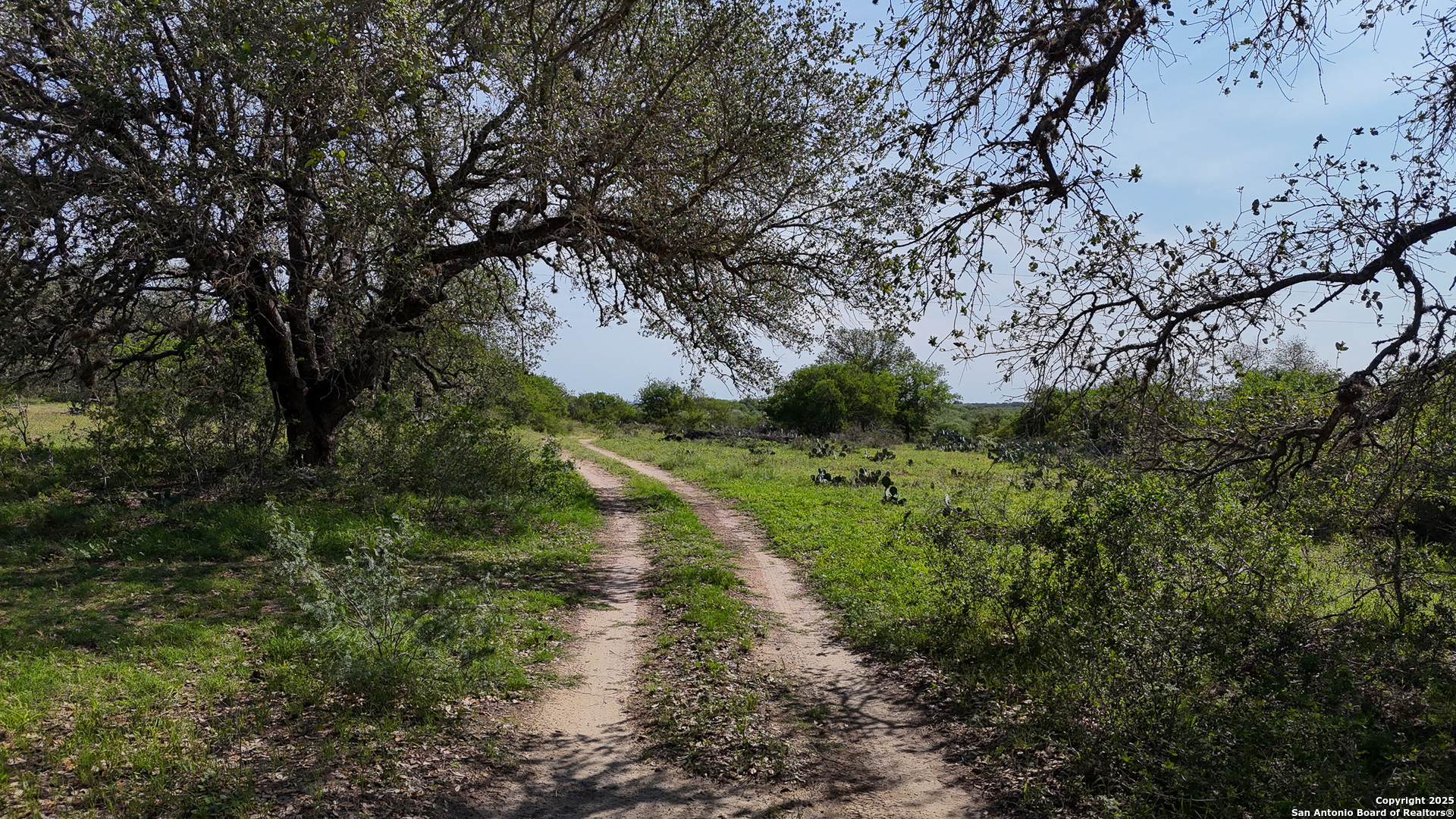 0 Stevens Road Somerset, TX 78069 - Photo 15 of 50