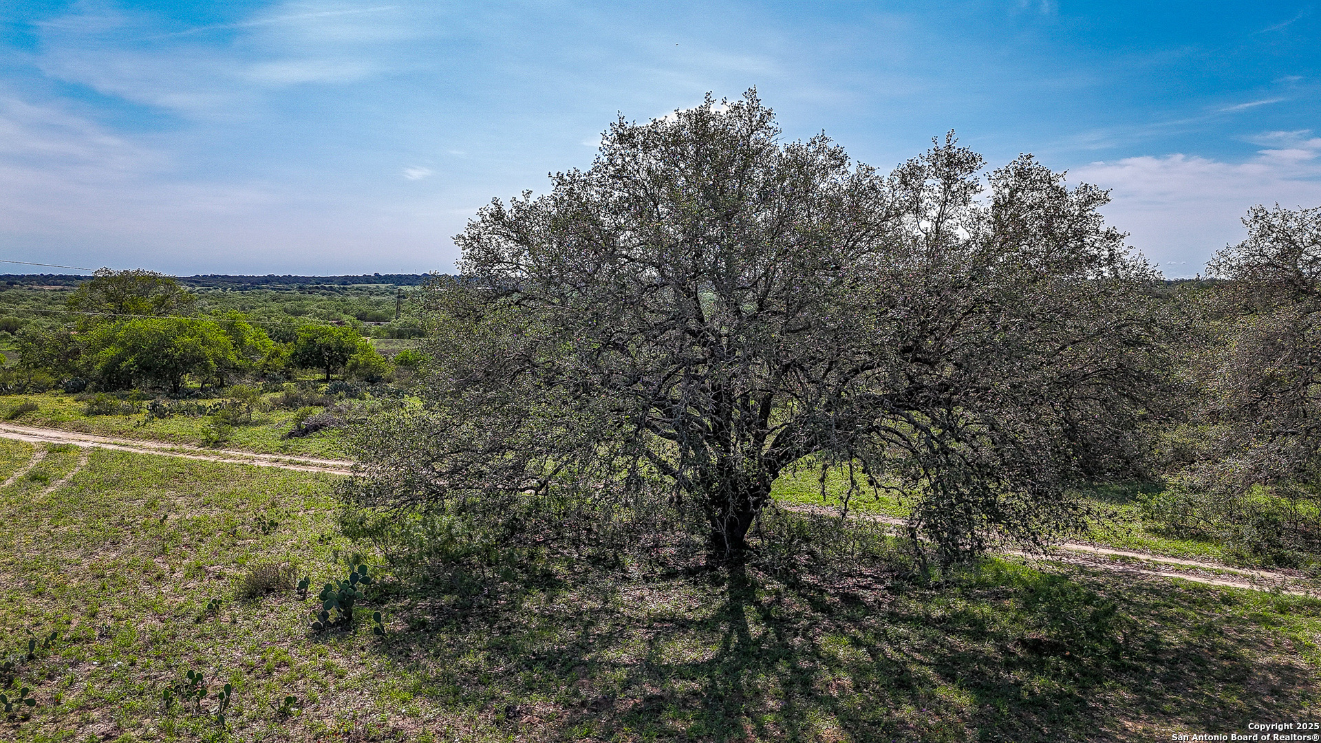 0 Stevens Road Somerset, TX 78069 - Photo 16 of 50