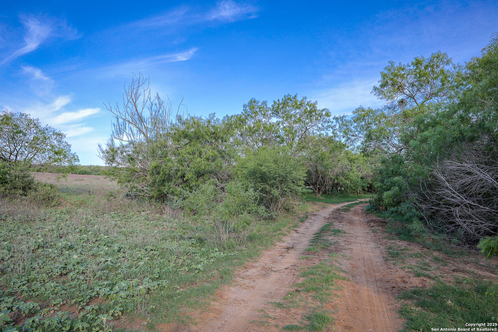 0 Stevens Road Somerset, TX 78069 - Photo 22 of 50