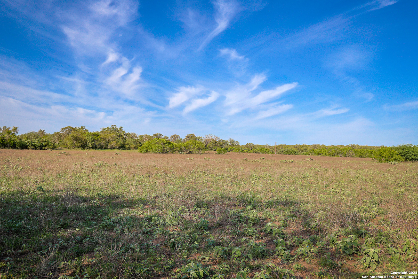 0 Stevens Road Somerset, TX 78069 - Photo 23 of 50