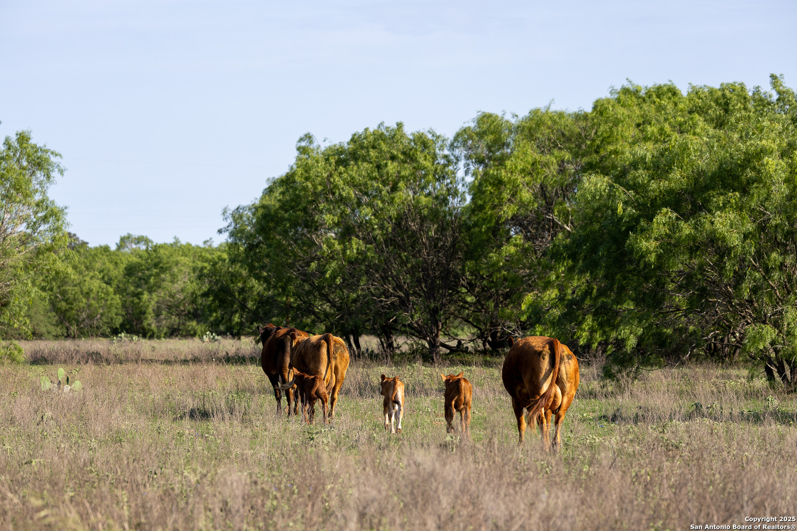 0 Stevens Road Somerset, TX 78069 - Photo 27 of 50