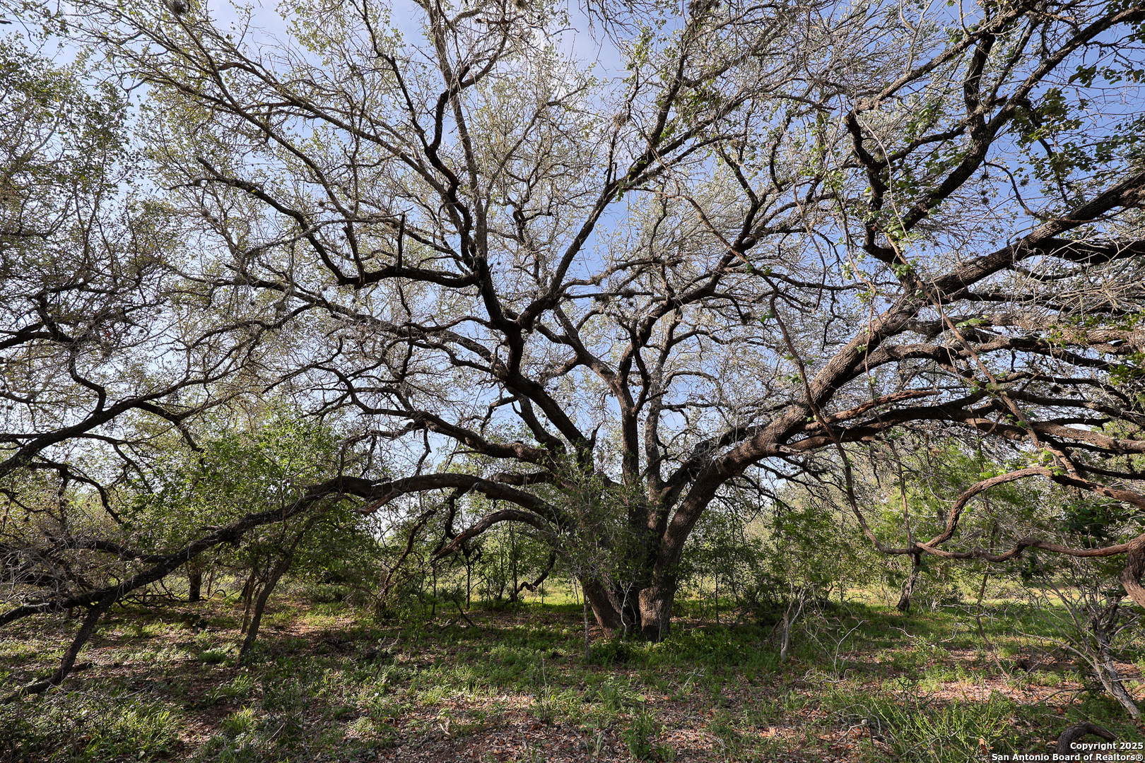 0 Stevens Road Somerset, TX 78069 - Photo 28 of 50