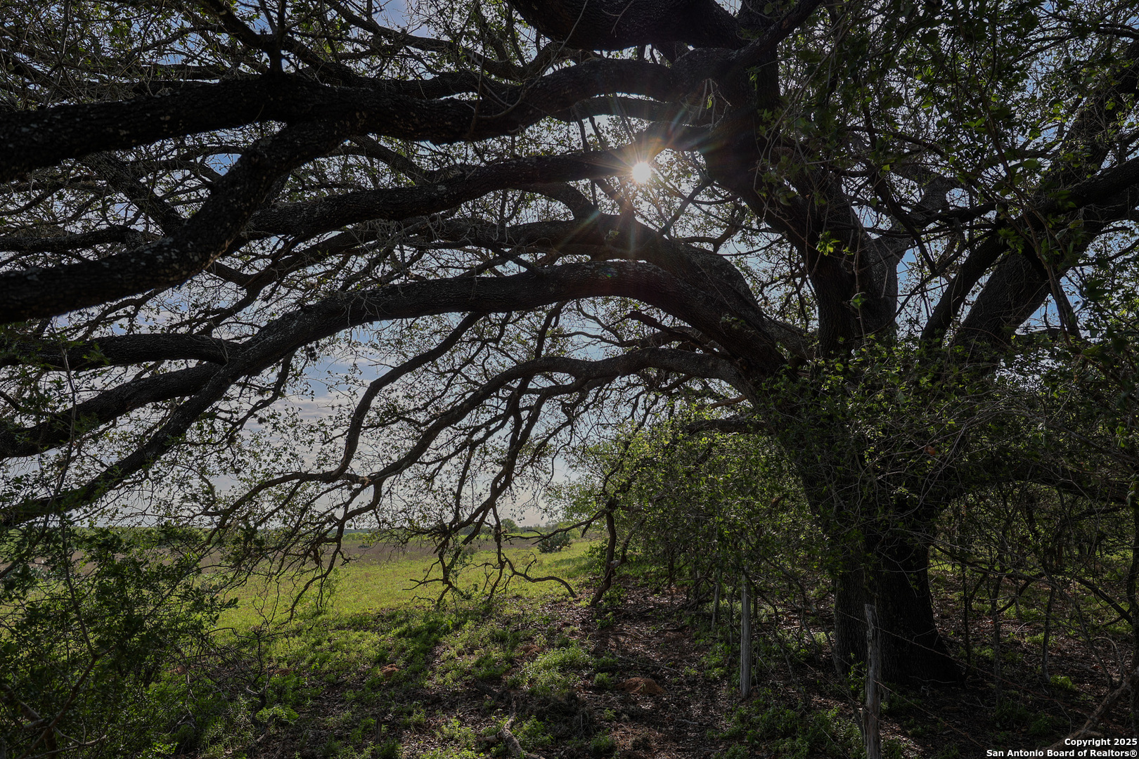 0 Stevens Road Somerset, TX 78069 - Photo 29 of 50