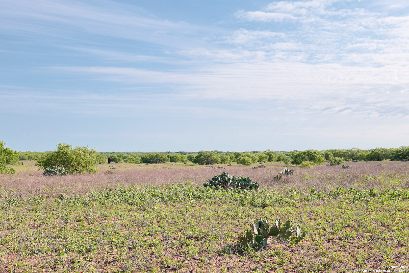 0 Stevens Road Somerset, TX 78069 - Photo 30 of 50