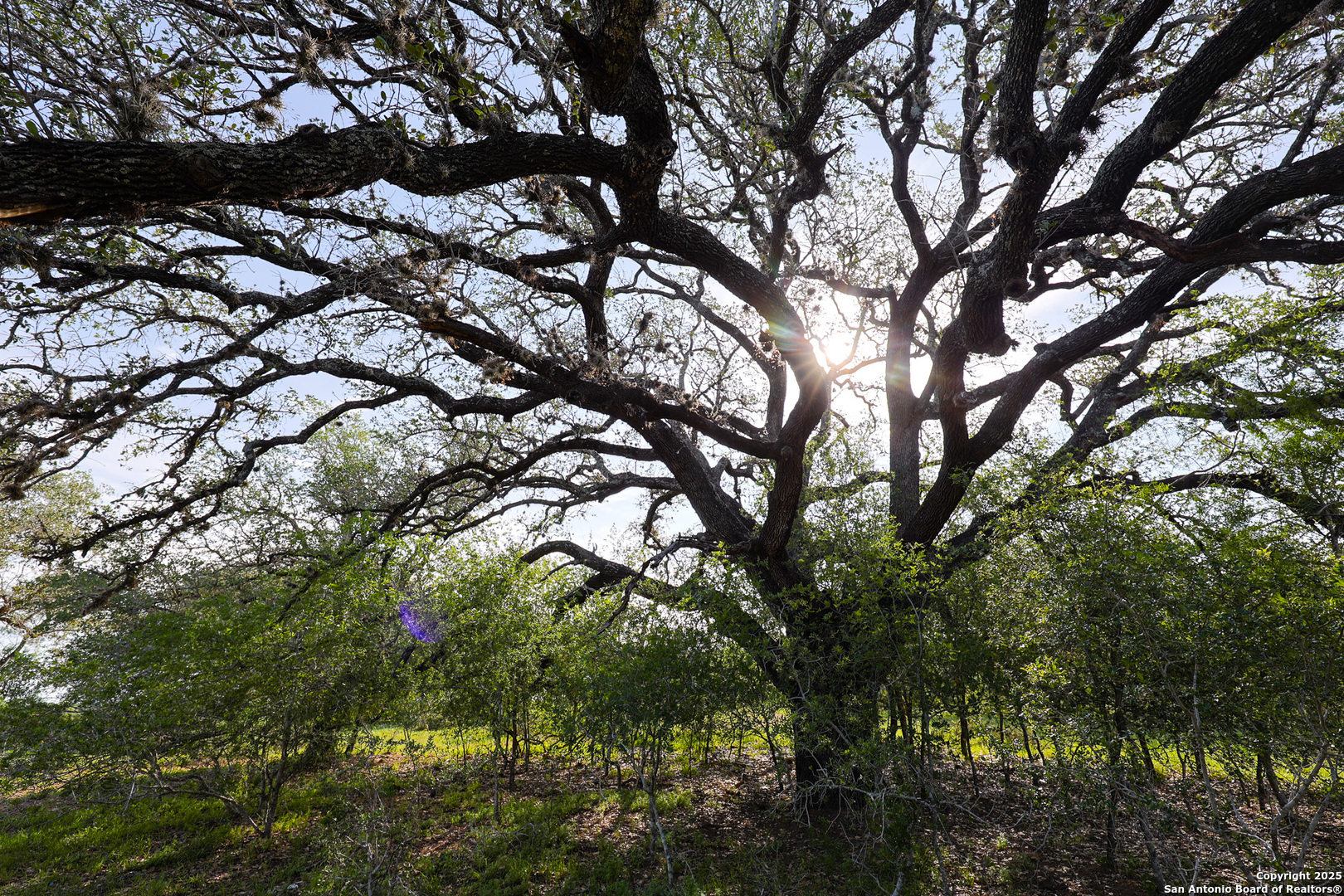 0 Stevens Road Somerset, TX 78069 - Photo 31 of 50