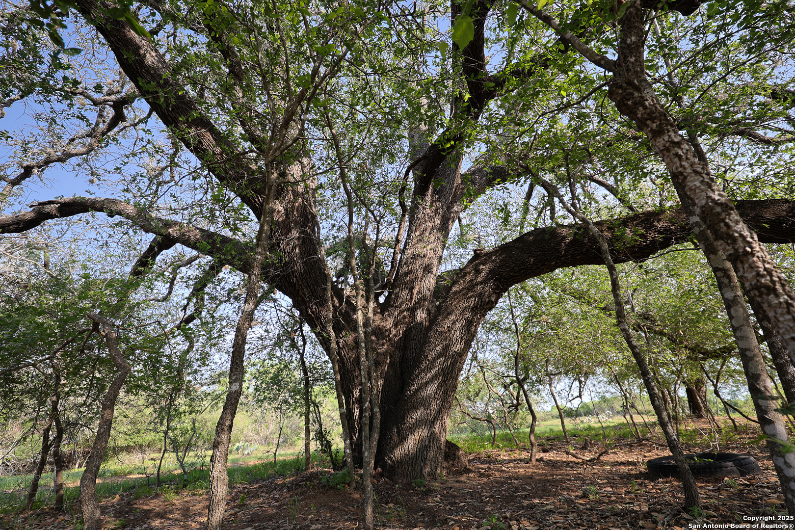 0 Stevens Road Somerset, TX 78069 - Photo 32 of 50