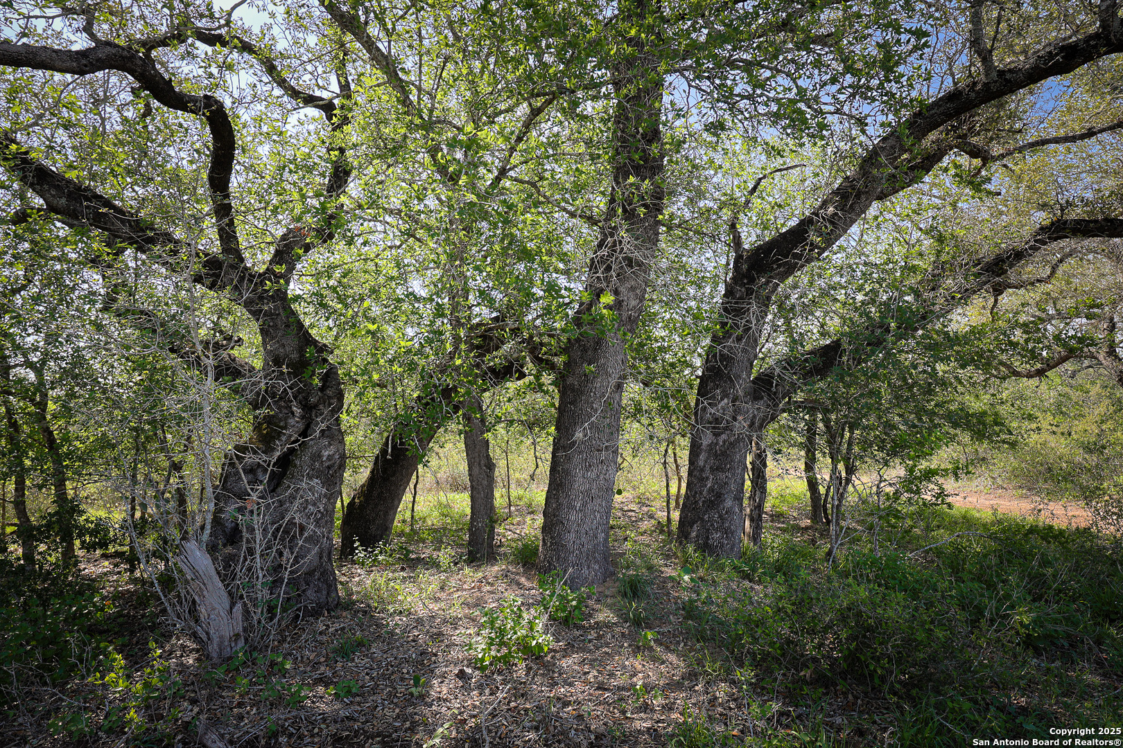 0 Stevens Road Somerset, TX 78069 - Photo 35 of 50