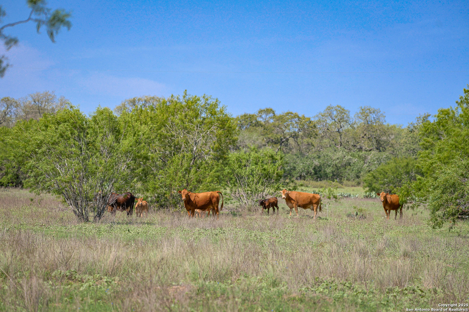 0 Stevens Road Somerset, TX 78069 - Photo 46 of 50