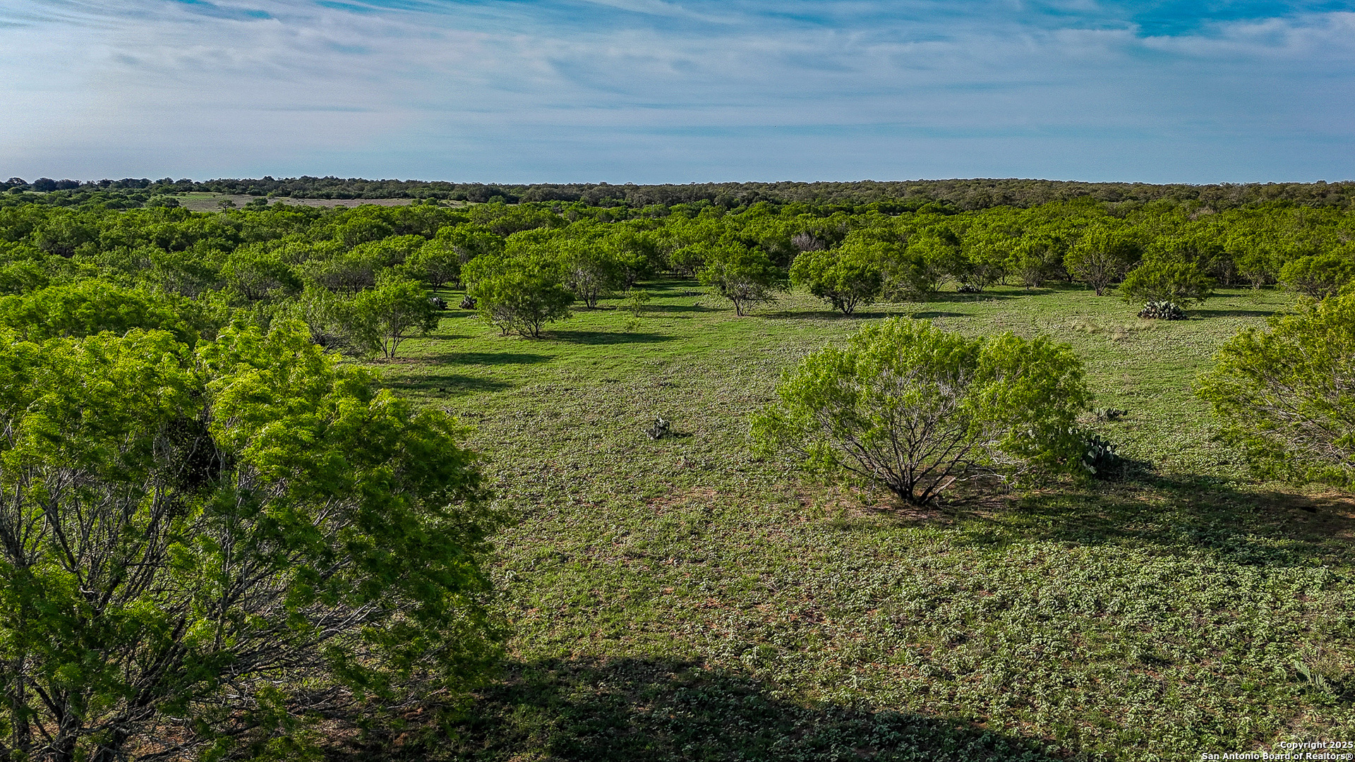 0 Stevens Road Somerset, TX 78069 - Photo 7 of 50