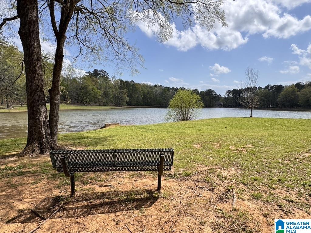 228 Red Bay Drive Alabaster, AL 35114 - Photo 75 of 80
