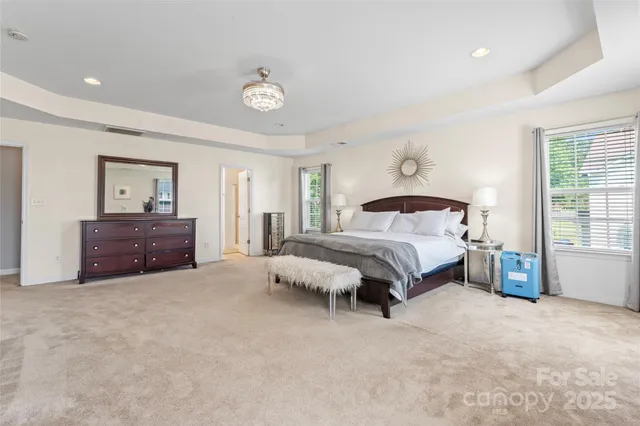 a spacious bedroom with a bed and a cabinets
