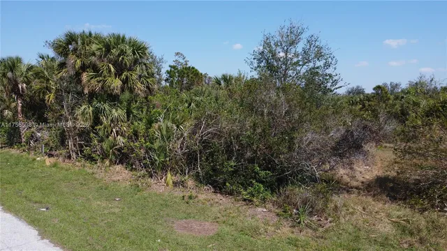 $27,000 | 7114 Kaler Street, Port Charlotte, FL 33981