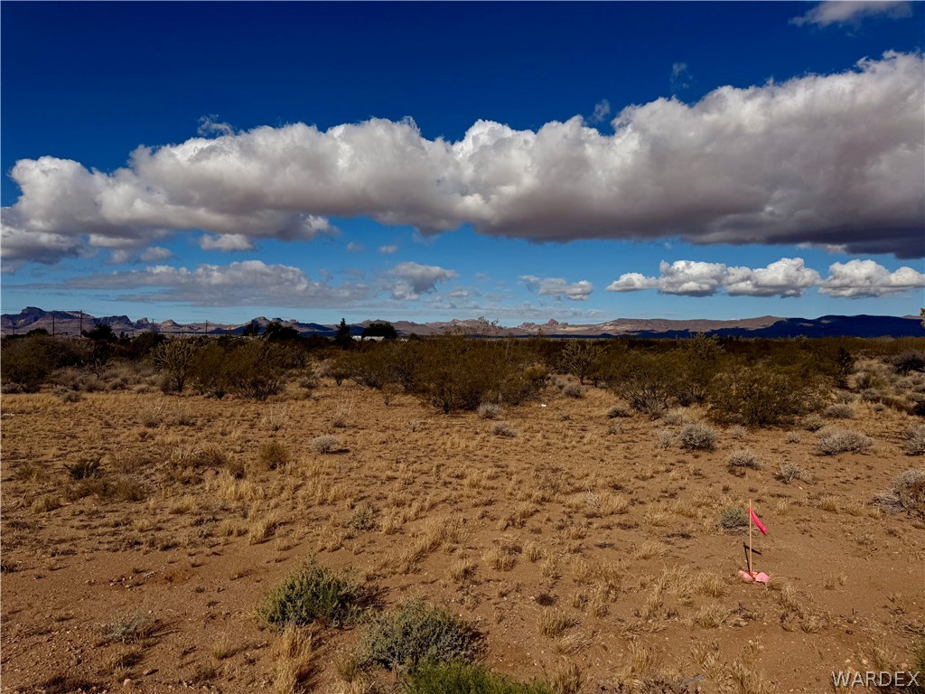 306-45-022 Colorado Road Golden Valley, AZ 86413 - Photo 3 of 4 View