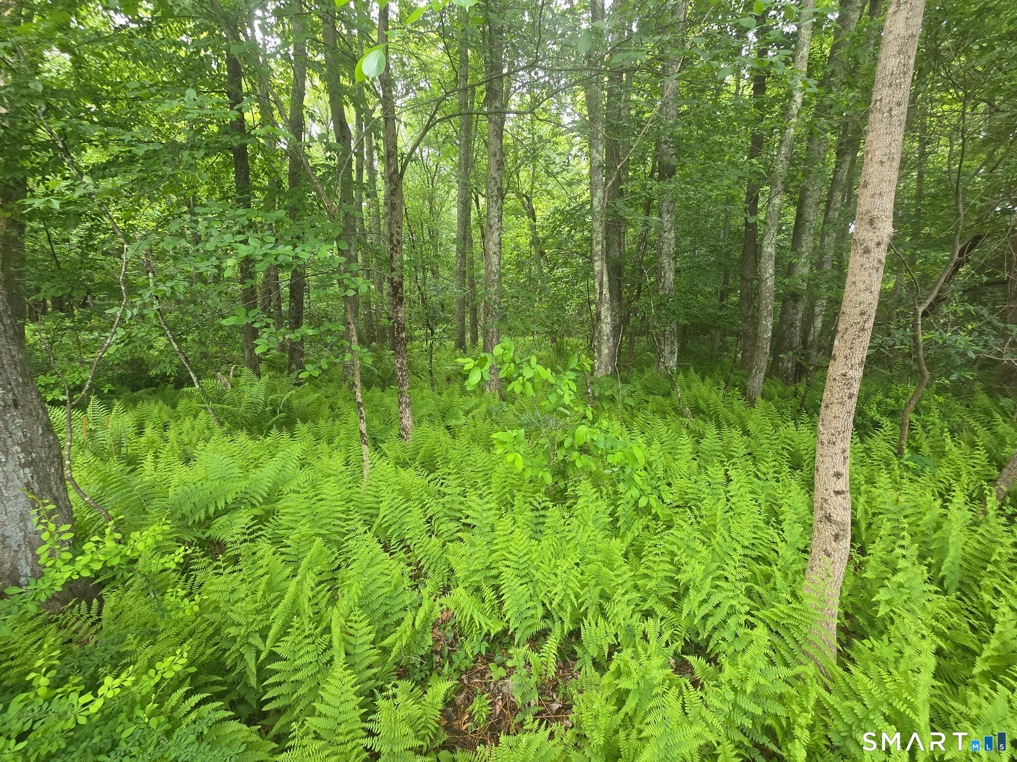 Boston Road Andover, CT 06232 - Photo 2 of 3