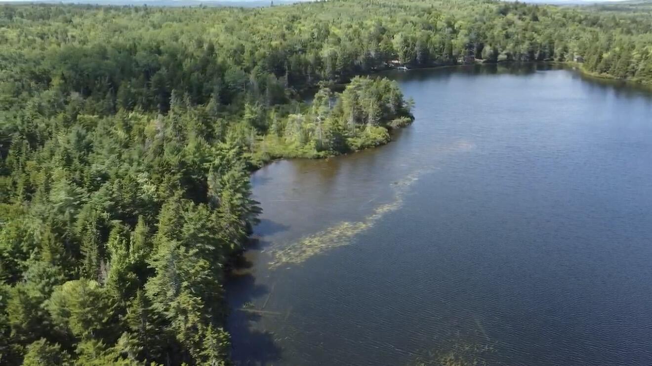 Lot 6 Goulding Lk Road Robbinston, ME 04671 - Photo 18 of 30 IMG_4179