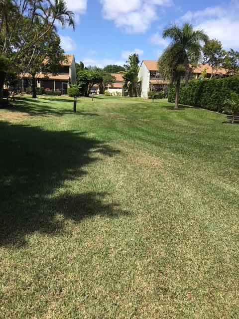 4601 Northwest 2nd Avenue, Unit 8040 Boca Raton, FL 33431 - Photo 31 of 31 Greenery