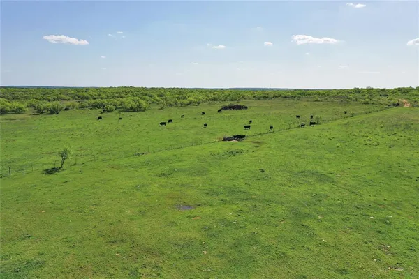 a view of a green field with lots of green space