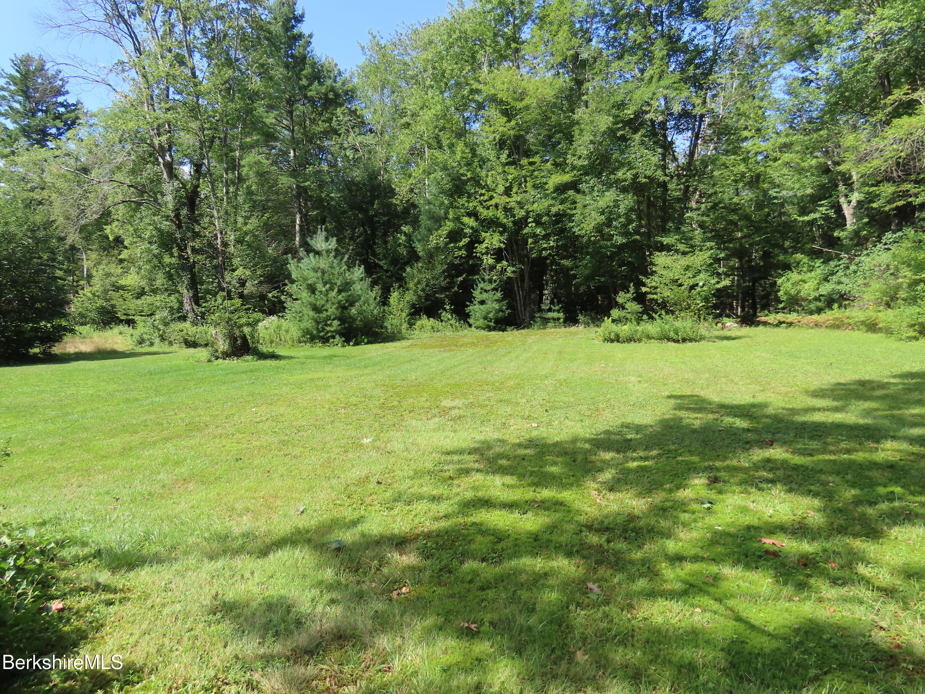 back yard