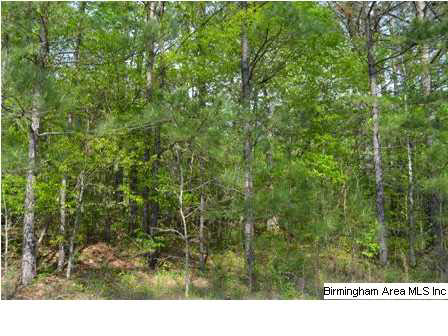 Hoods Cross Road, Unit 27 Oneonta, AL 35121 - Photo 7 of 8