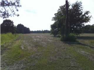Rue Des Babineaux Road Scott, LA 70583 - Photo 2 of 11 Additional Photo