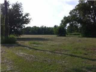 Rue Des Babineaux Road Scott, LA 70583 - Photo 4 of 11 Additional Photo