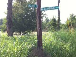 Rue Des Babineaux Road Scott, LA 70583 - Photo 10 of 11 Additional Photo
