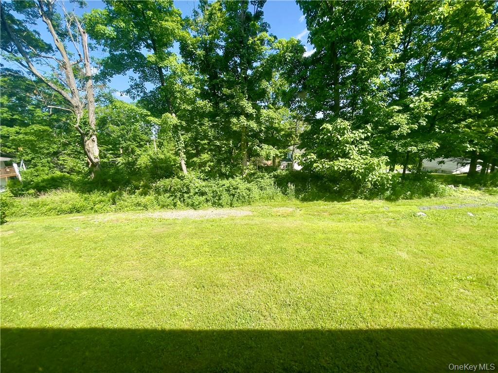 4 Old Turnpike Road Bloomingburg, NY 12721 - Photo 6 of 27 View of yard