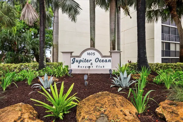 a view of a potted plant with a palm tree