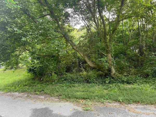 $25,000 | Railroad Street, Spartanburg, SC 29307