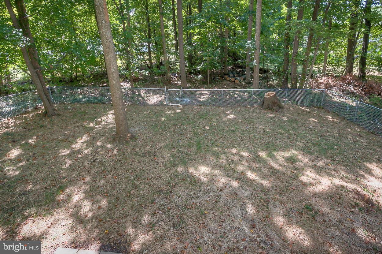 9807 Winands Road Randallstown, MD 21133 - Photo 27 of 27 Exterior (Rear)