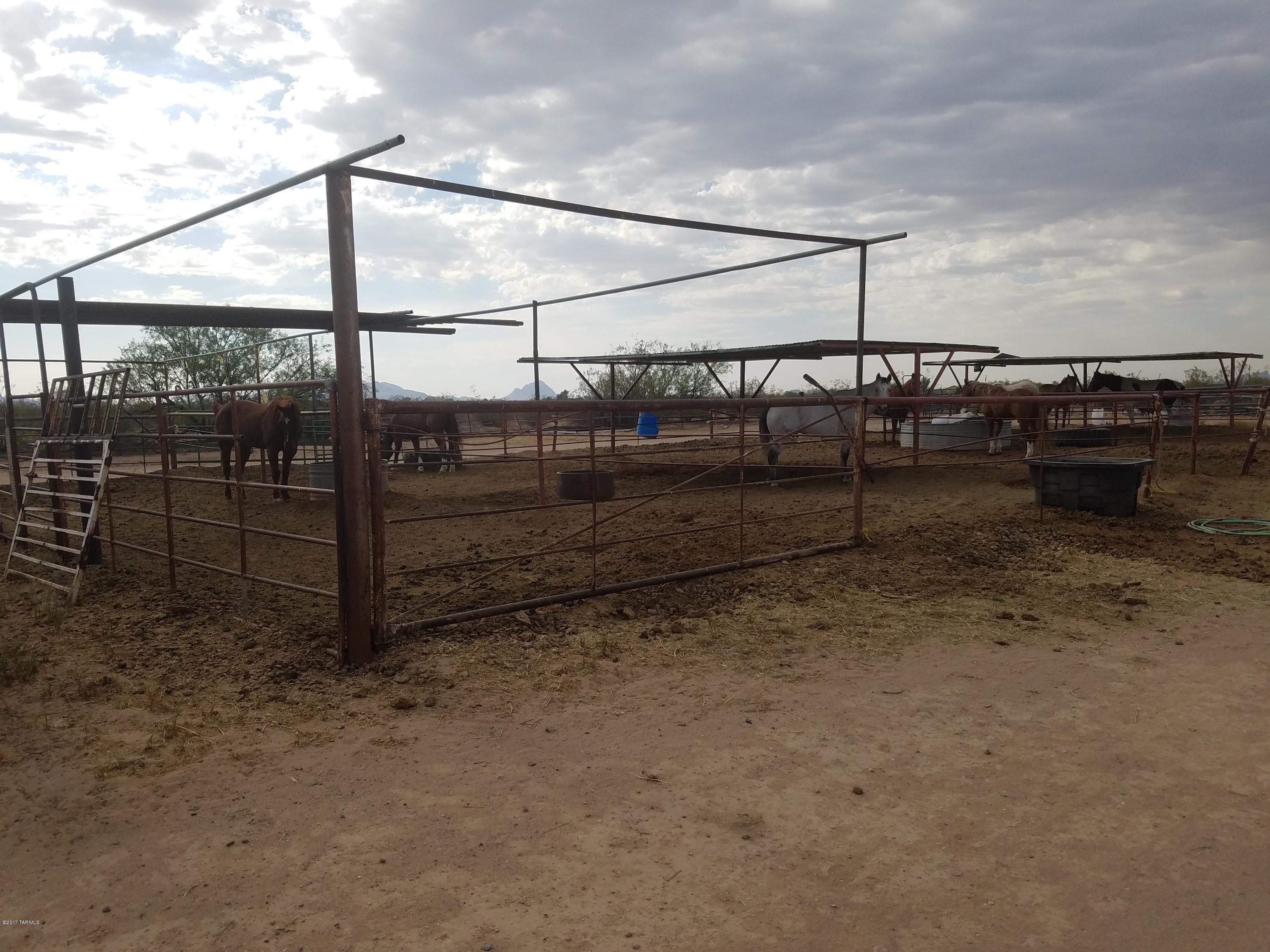 15950 West Scrub Brush Road Marana, AZ 85653 - Photo 9 of 9