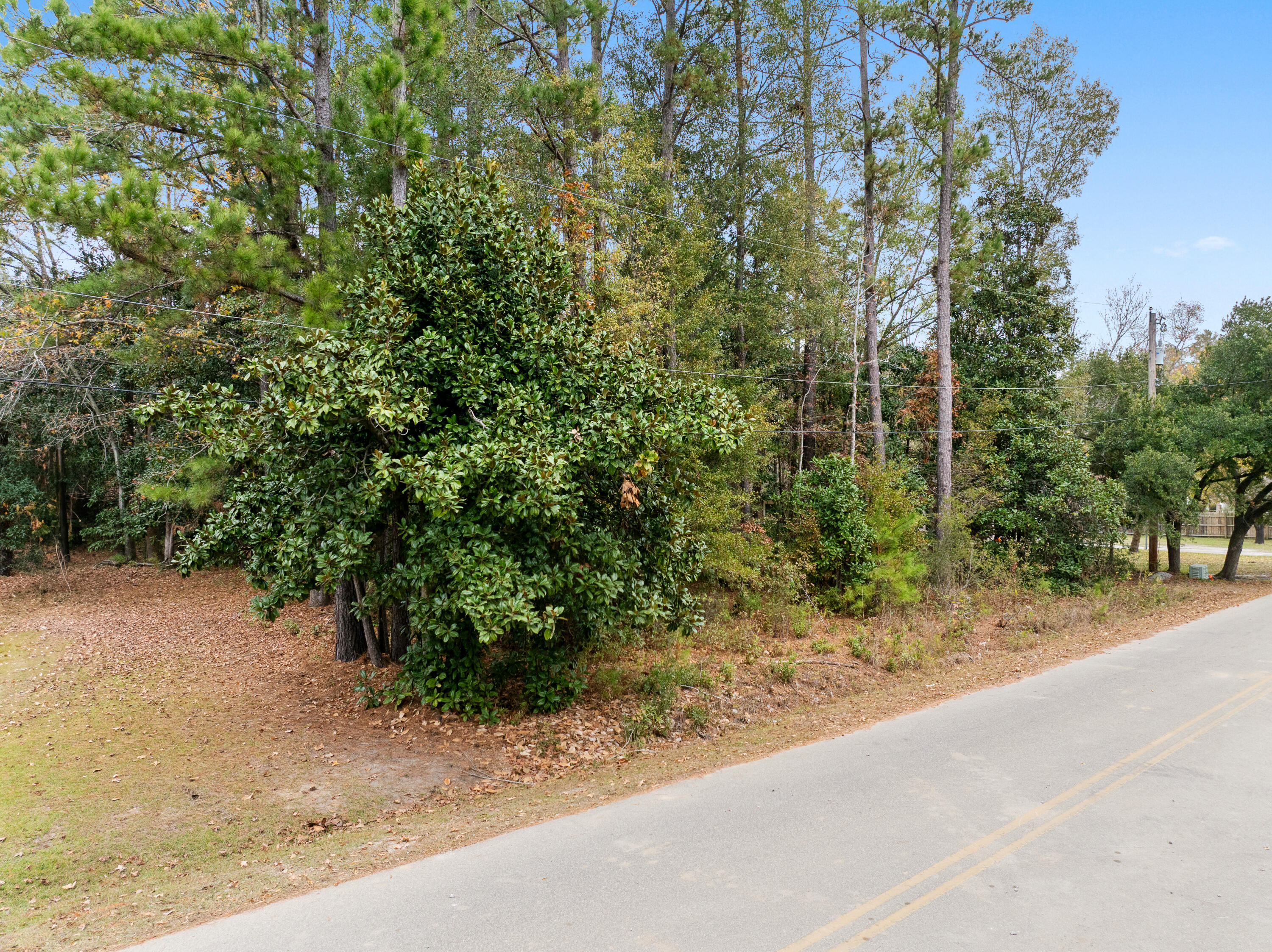 521 Hill Street Moncks Corner, SC 29461 - Photo 4 of 14