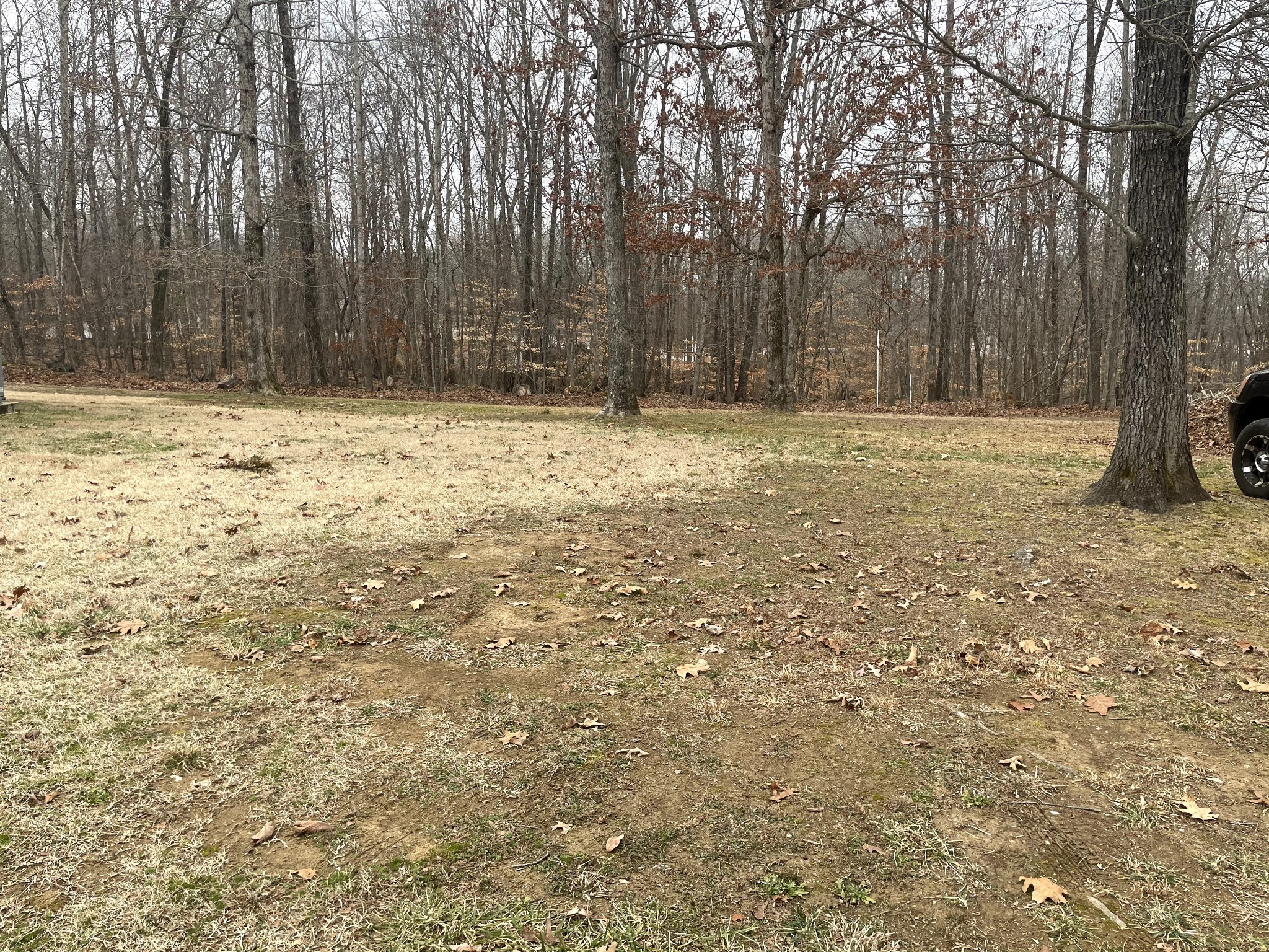 2082 Eastbrook Road Estill Springs, TN 37330 - Photo 32 of 34 Gallery Image 32