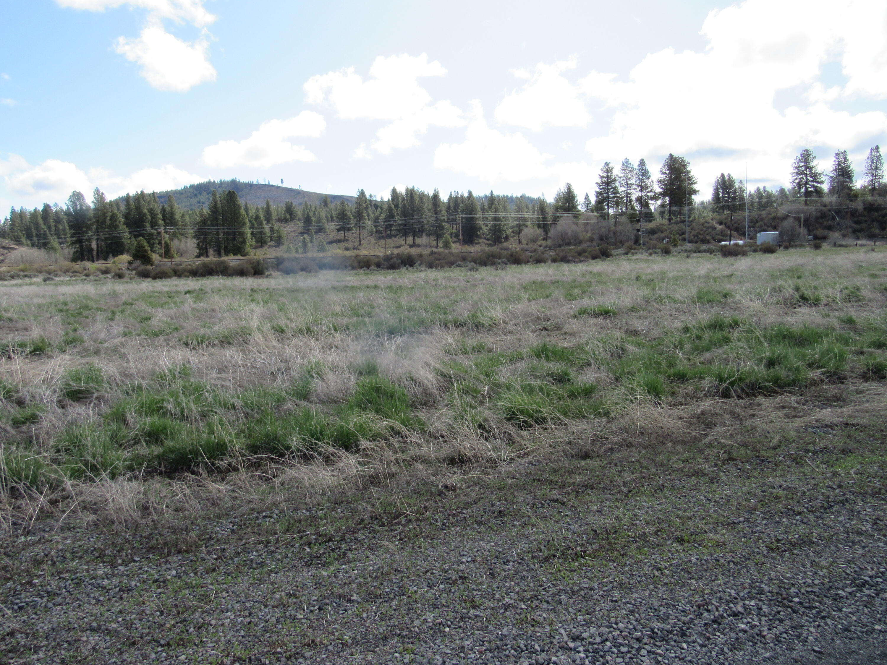 0 Cattle Drive, Unit 883876 Chiloquin, OR 97624 - Photo 4 of 8 a big yard with lots of green space
