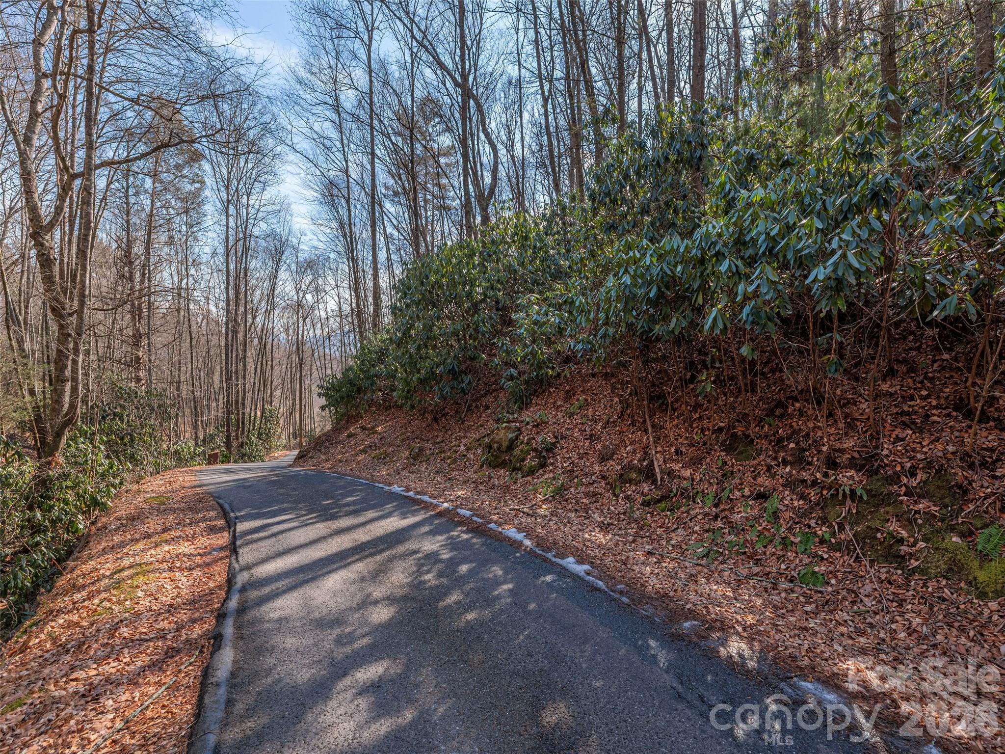 0 Coyote Hollow Road Waynesville, NC 28785 - Photo 2 of 12