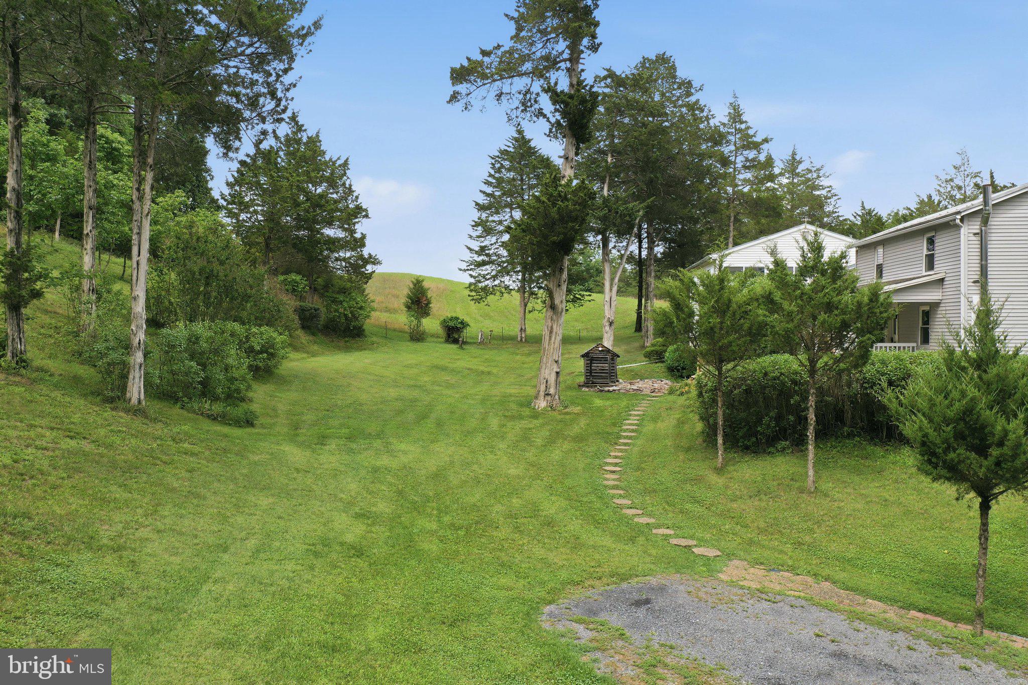 6223 Fort Valley Road Fort Valley, VA 22652 - Photo 40 of 51