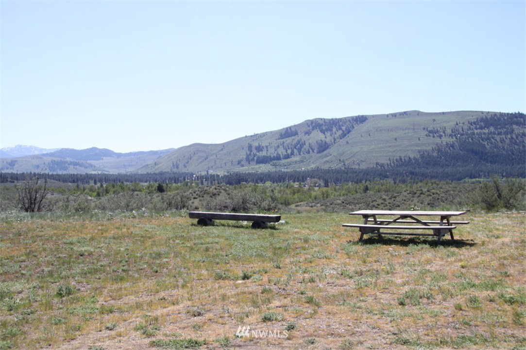 67 West Chewuch Road Winthrop, WA 98862 - Photo 9 of 11 Gallery Image 9