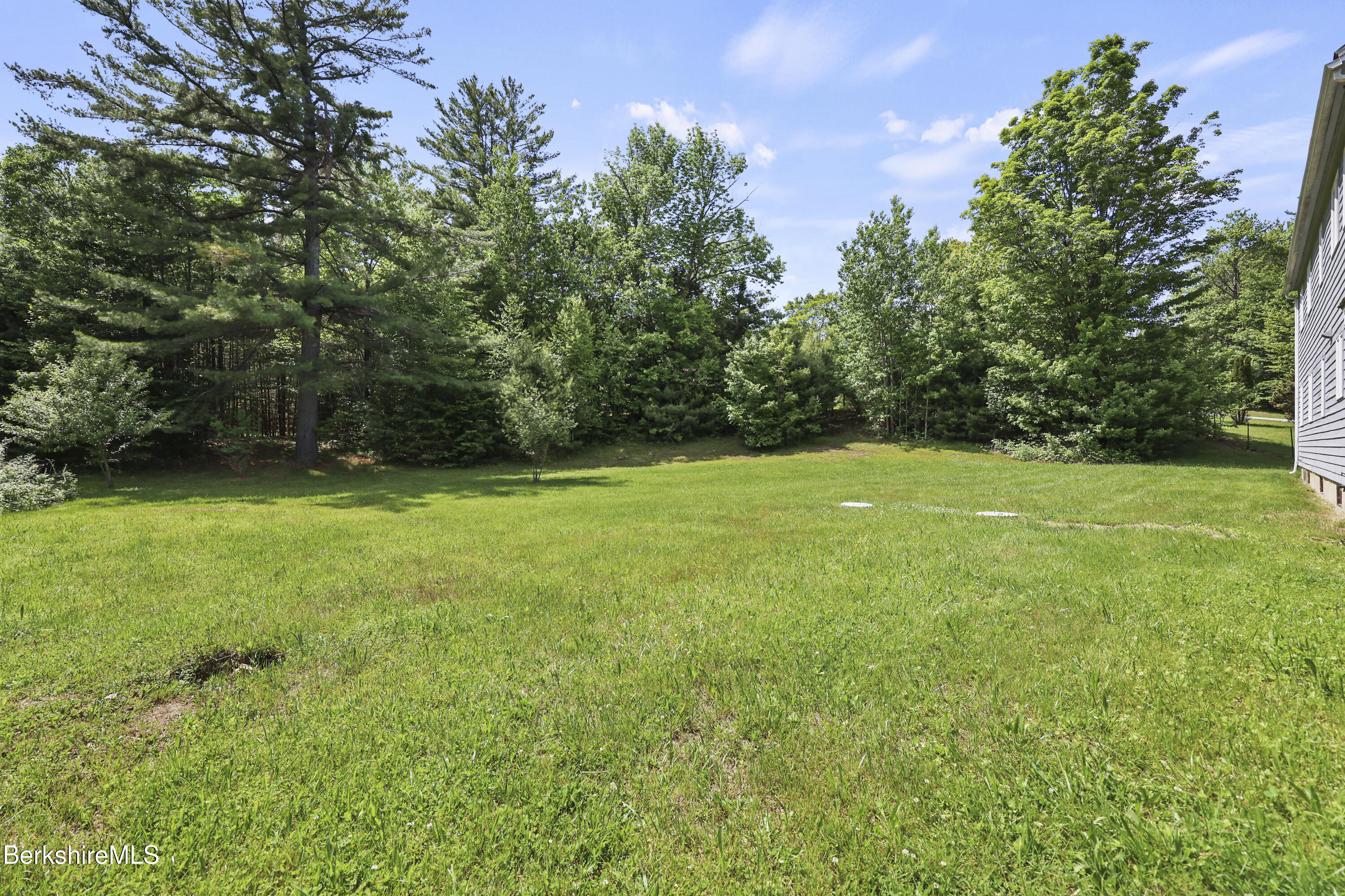 1130 Main Dalton Road Windsor, MA 01270 - Photo 52 of 56 Back Yard