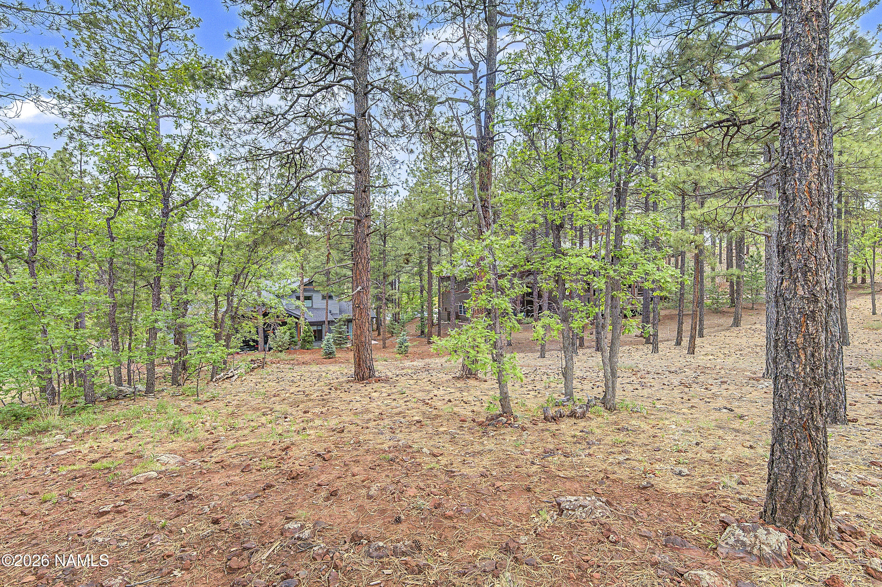 4165 Lariat Loop Flagstaff, AZ 86005 - Photo 28 of 42 Trees