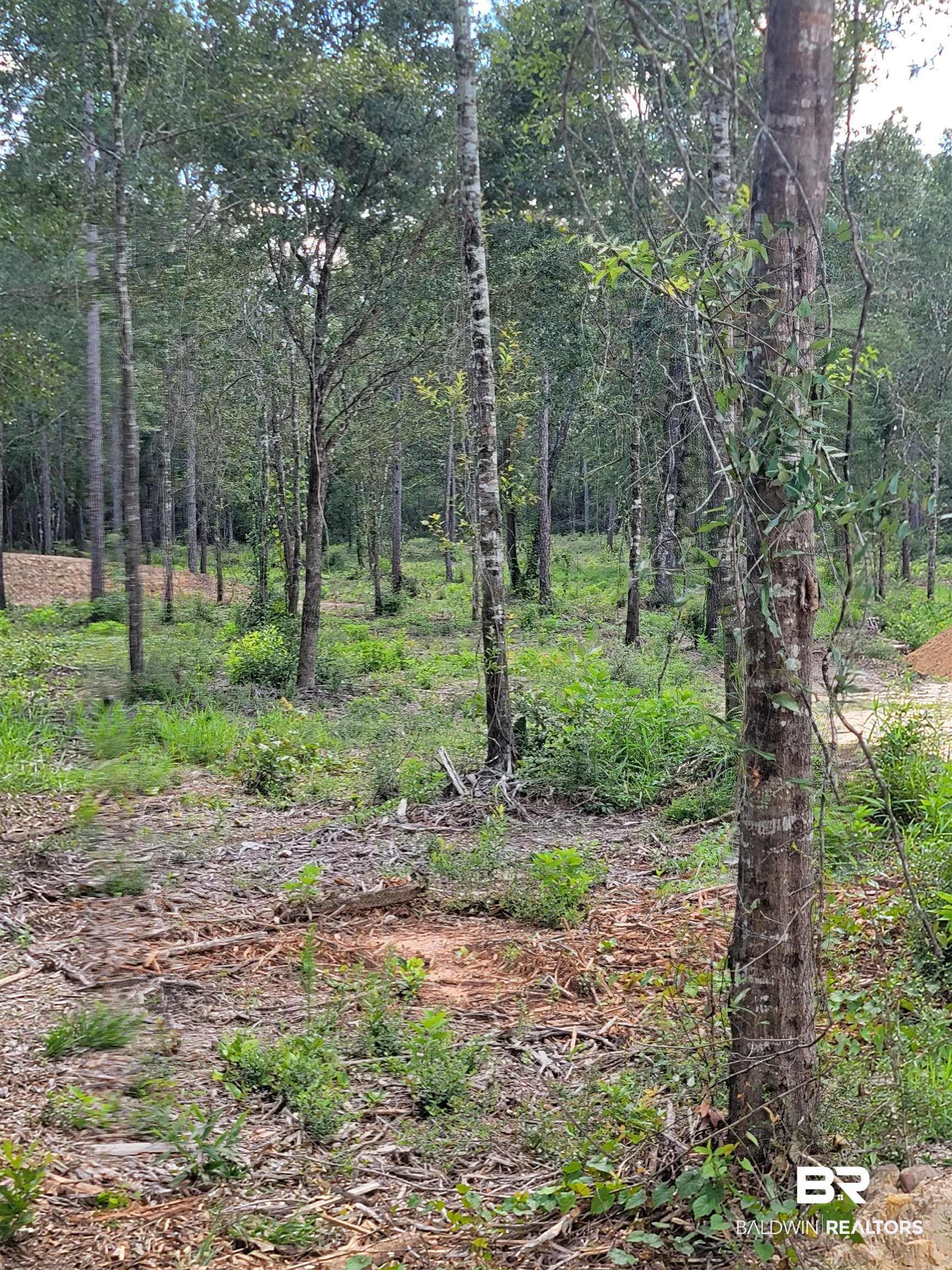 Lot 10 Wildflower Trail Daphne, AL 36527 - Photo 4 of 7