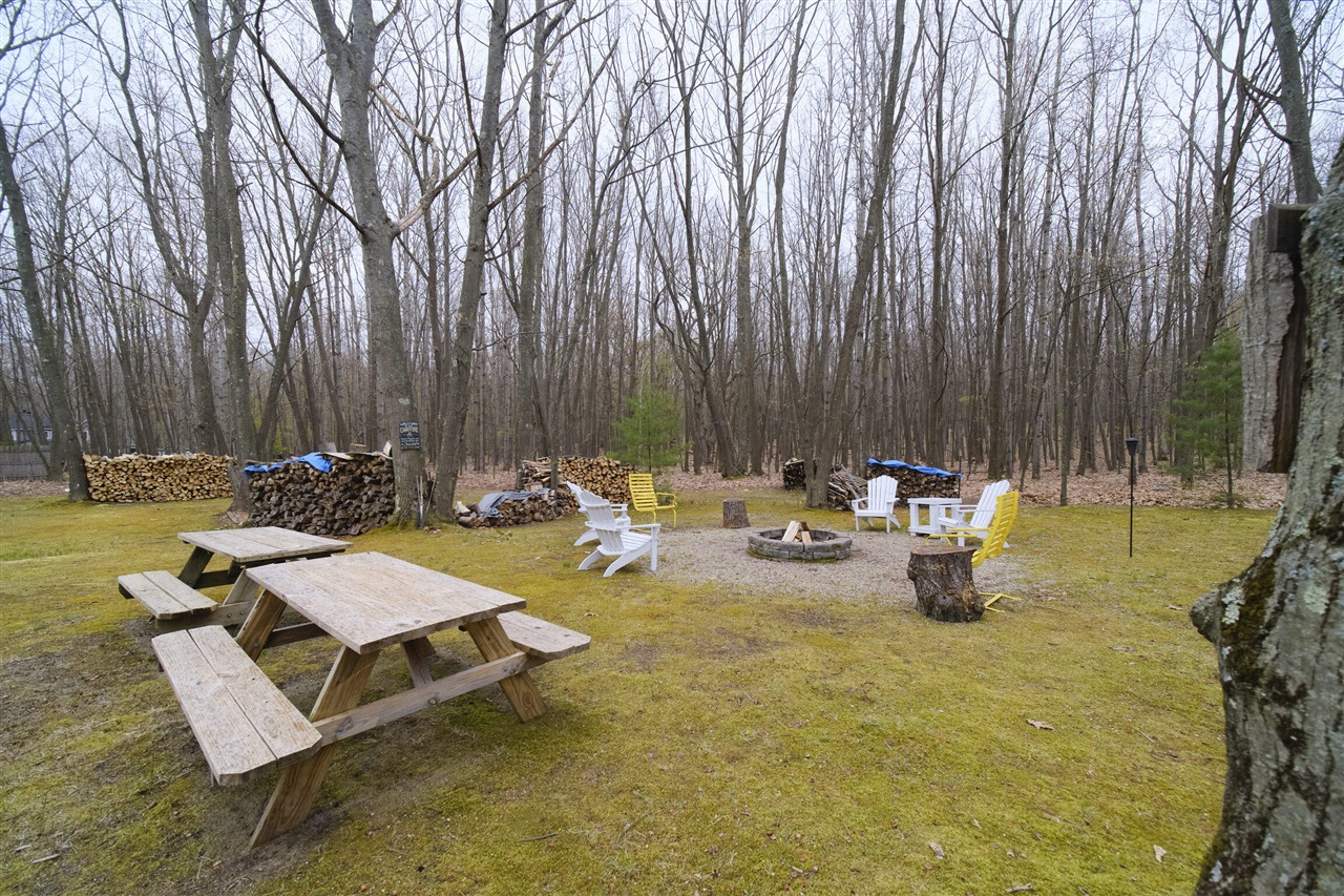 4207 West Jepson Road Manistee, MI 49660 - Photo 41 of 54