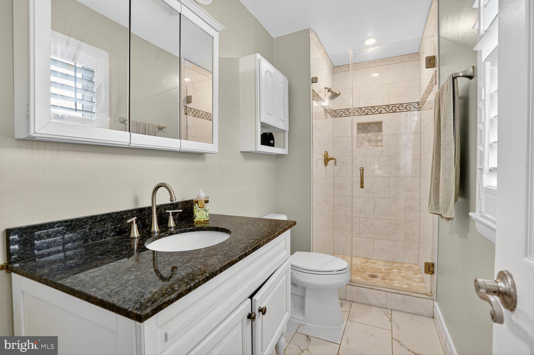 4004 David Lane Alexandria, VA 22311 - Photo 14 of 25 a bathroom with a granite countertop sink a toilet a mirror and shower