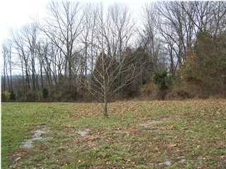 76 Cedar Run Road Pendleton, KY 40055 - Photo 1 of 1 Primary Photo