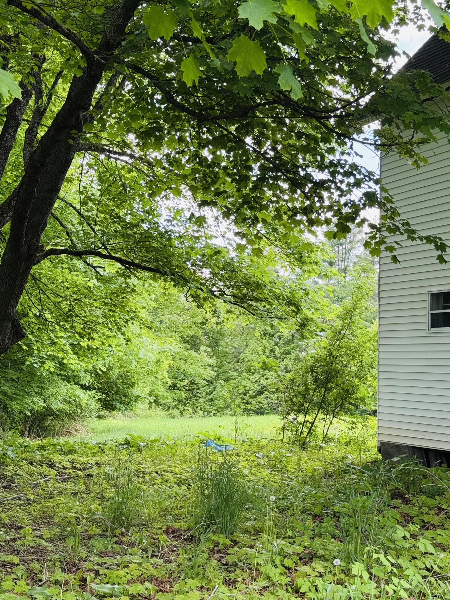 156 Railroad Street Clinton, ME 04927 - Photo 6 of 18 IMG_5310